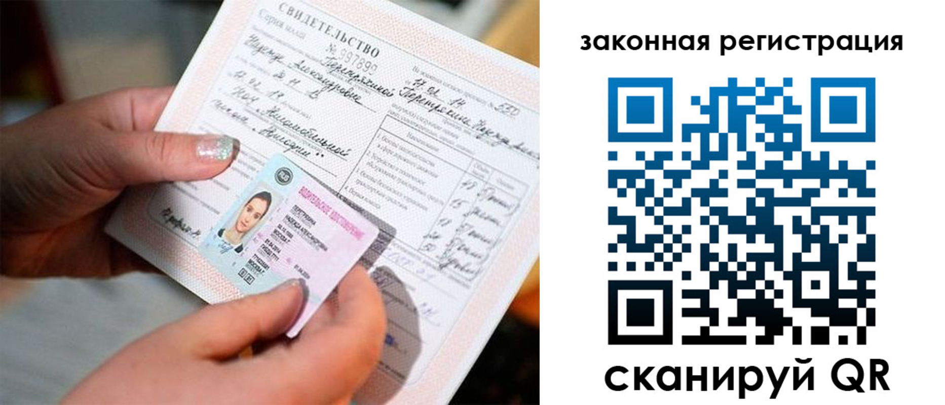 прописка для школы в Алексеевке